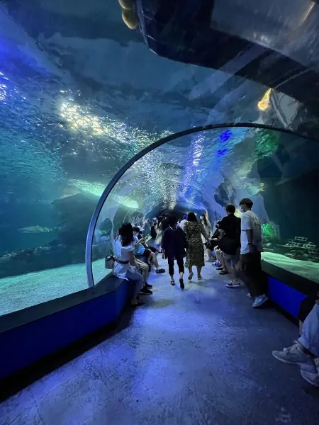 SEALIFE Busan Aquarium