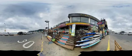SURF HOLIC