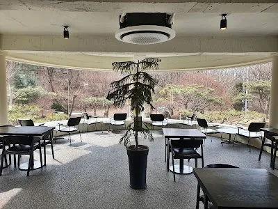팔숲