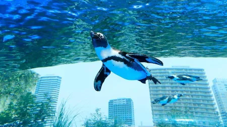 陽光水族館
