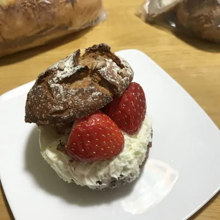 팡도리노