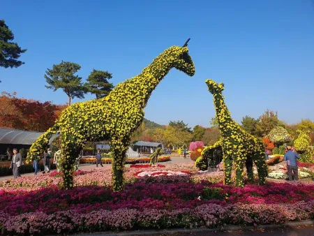 大邱樹木園