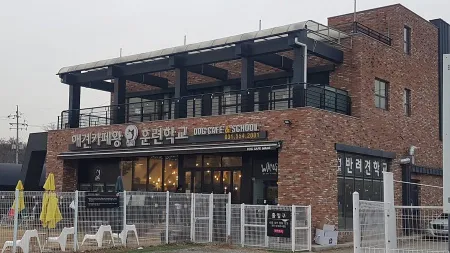 애견카페왕