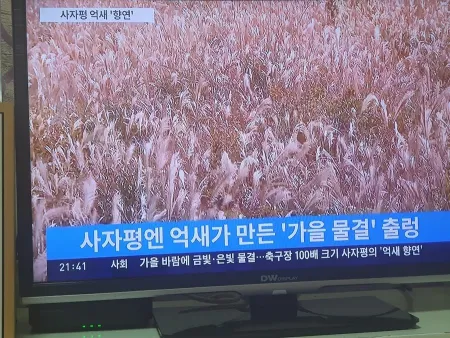 Minsok Son Kalguksu