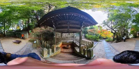 Arima Onsen Tansan Senbei