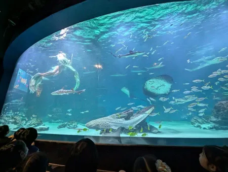 大邱アクアリウム