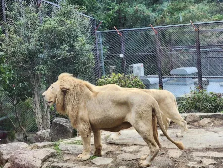 Nature Park