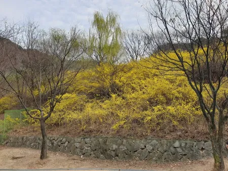 용마산 등산로 입구