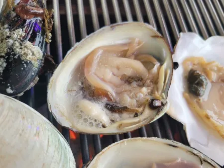 선창회마차
