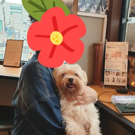 천안유기견카페 잇츠독