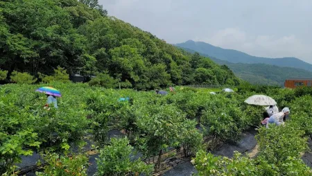 별내팜스쿨