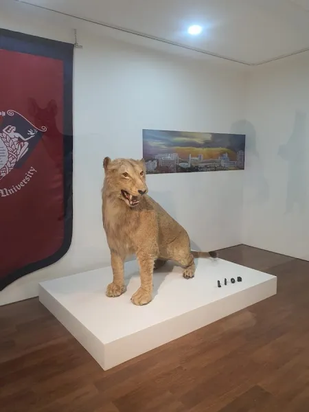 Kyung Hee University Museum of Natural History