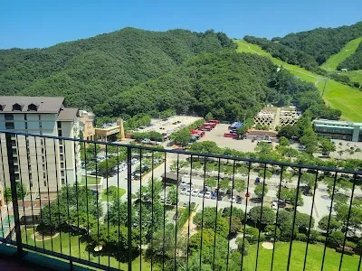 소노펫클럽 리조트 비발디파크