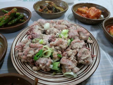 Bujajib