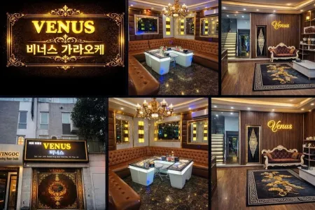 Venus Karaoke
