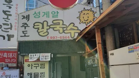 Suyu Hangari Son Kalguksu