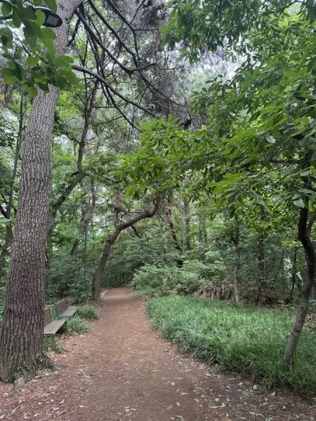 노태산 근린공원