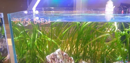링크쥬 천안본점